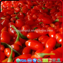 100% orgânico goji goji berries bagas secas com alta taxa de exportação